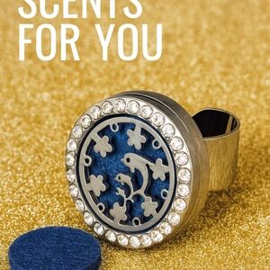 NWOT Stainless Steel Aromatherapy dolphin ring